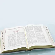 "Библия" в коробе-шкатулке — книга в кожаном переплёте — фотография 5
