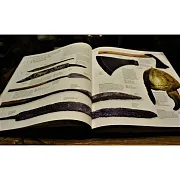 Оружие — книга в кожаном переплёте — фотография 2