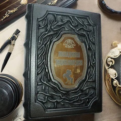 Лошадиная энциклопедия Невзорова в кожаном переплёте — книга